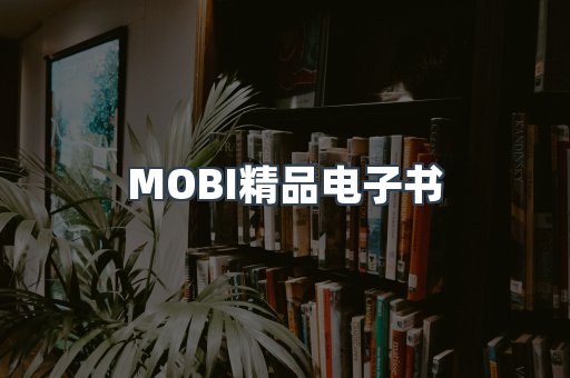 PDF电子书系列