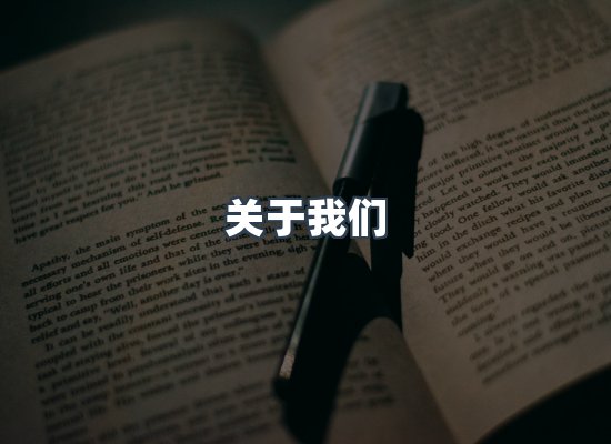 专业团队